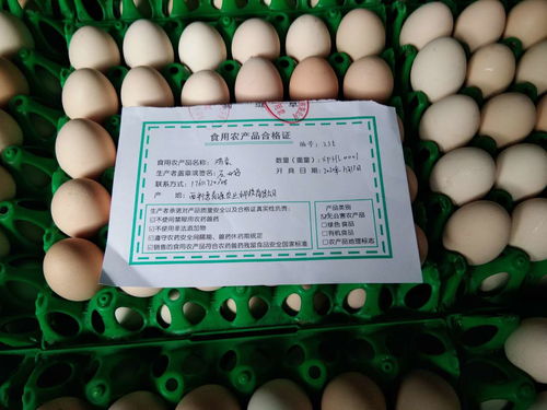 西平縣多措并舉扎實推進食用農(nóng)產(chǎn)品合格證試點工作